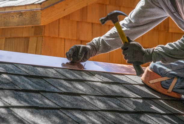 Best Roof Maintenance and Cleaning  in Frankston, TX