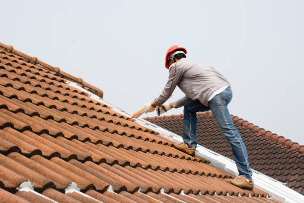 Best Green or Eco-Friendly Roofing Solutions  in Frankston, TX